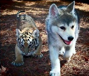 Wednesday, September 4th