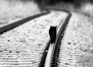 Monday, September 23rd